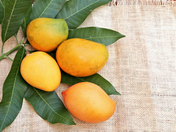 15. మామిడిపళ్ళు