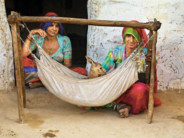 సొంత పిల్లల్లాగా సాకుకుంటారు
