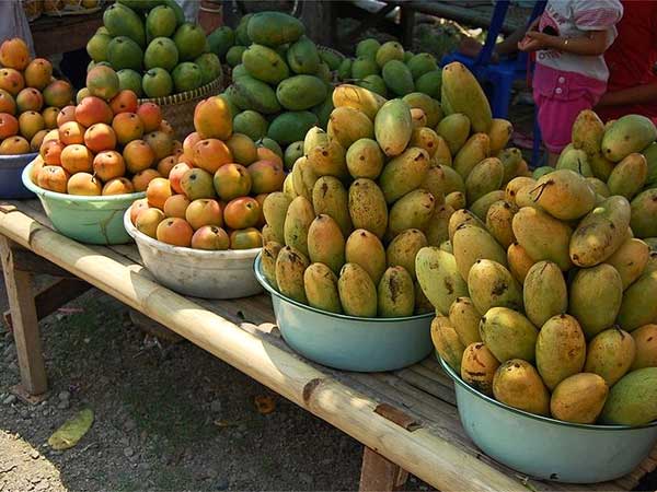 రక్తంలో షుగర్ లెవల్స్