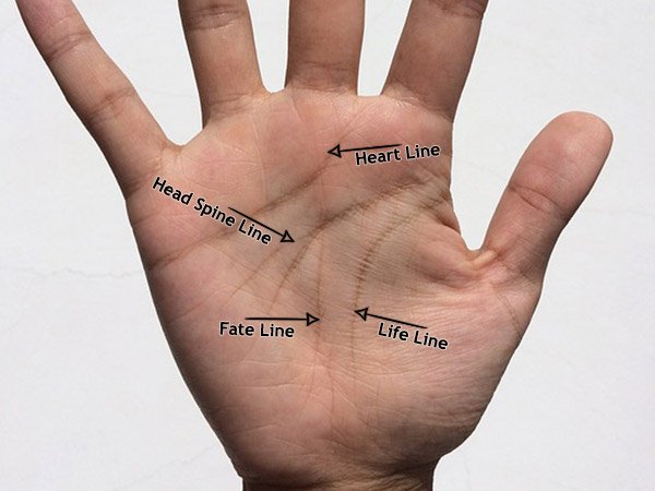 Palm astrology in telugu