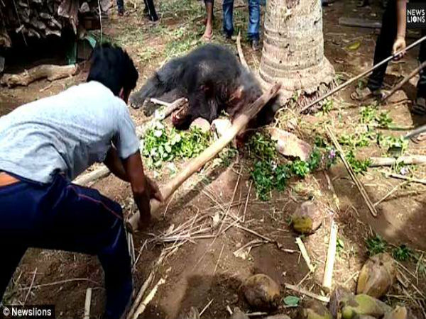 బొడ్డు గంగమ్మ తోటల్లోకి వెళ్తుంగా