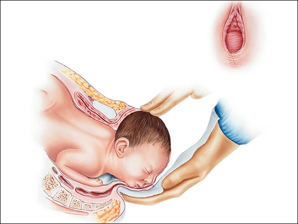 యోని లోతు ఉన్నంత వరకే పురుషాంగం పోతుంది