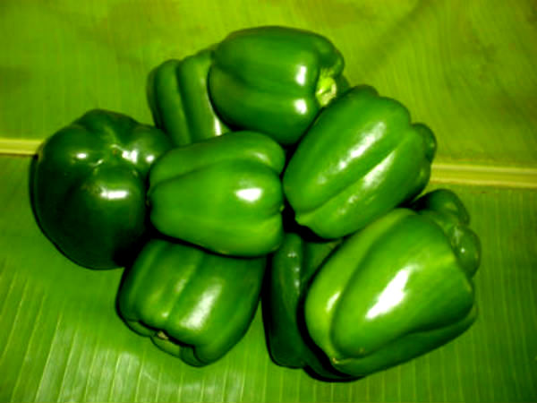 పెప్పర్