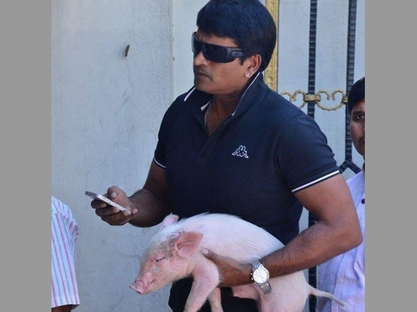 సినిమాపై భారీ అంచనాలు