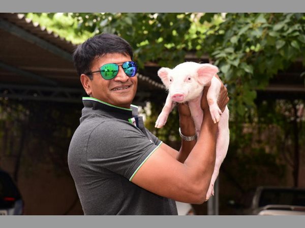 పందిపిల్లను వీపు మీద ఎక్కించుకుని