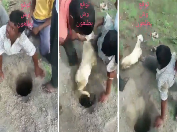 పెద్ద లోతుకు పోకపోవడంతో