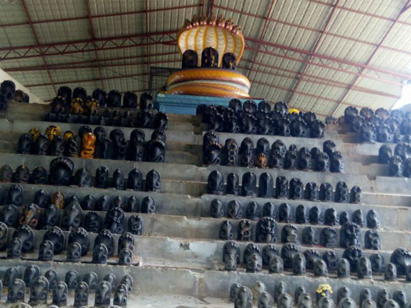 ప్రమాదావకాశాలను తగ్గిస్తుంది: