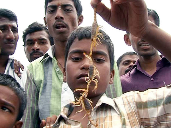 ఏదో మహిమ ఉండడం వల్లే