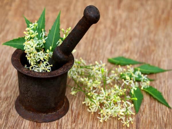 4. రోగనిరోధక శక్తిని మెరుగుపరుస్తుంది: