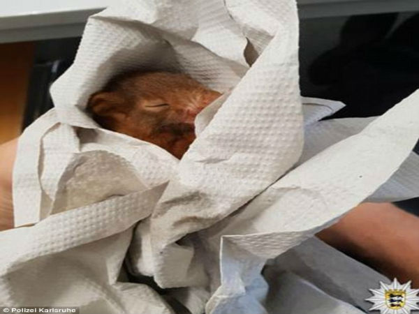 పుట్టి కొన్ని రోజులే అవుతుంది