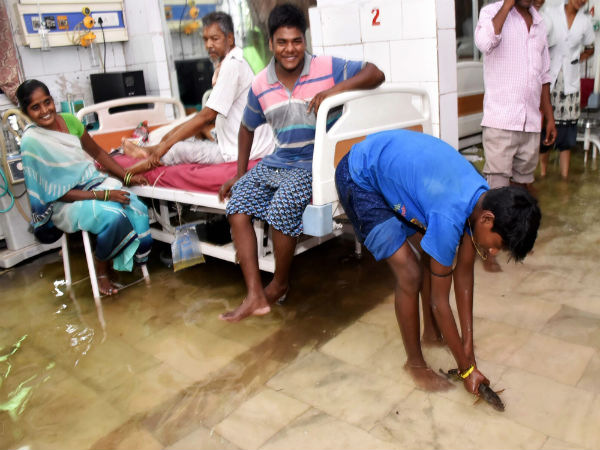 చేపలు తిరగడం ప్రభుత్వం గొప్పదనం అని చెప్పవద్దు