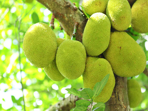12. థైరాయిడ్ ఆరోగ్యానికి: