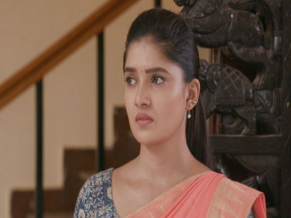ఇరగదీశావు ఆంటీ