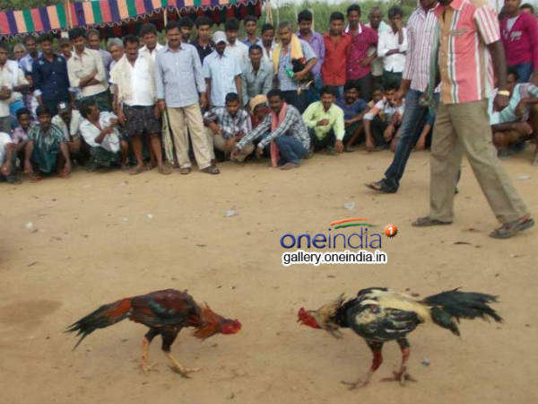 యుద్దాలు జరిగాయి