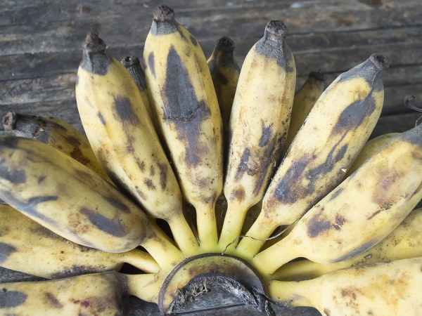 ముఖానికి పూసుకోండి