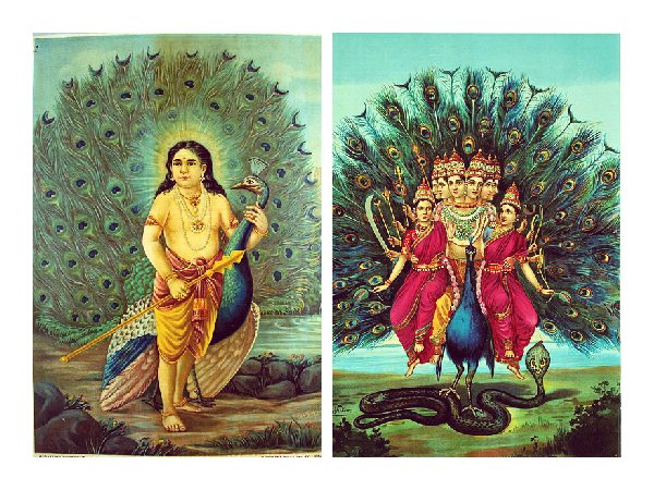 మార్చి 12 - స్కంద షష్టి మరియు మాసిక్ కార్తిగై