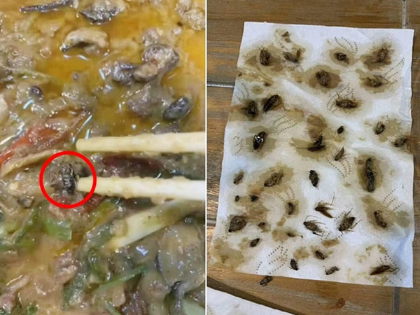 ఆహారం తినడానికి ముందుగా చూడడమే ఆమె అదృష్టం !