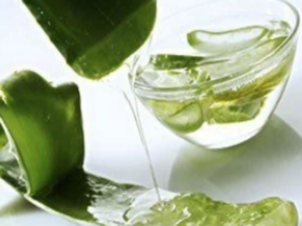 కలబంద