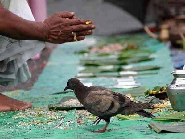విరాళం తర్వాత మోక్షం..