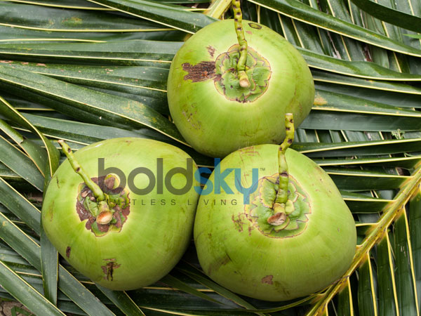6. పేదరిక నిర్మూలన