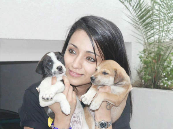 మేషం, మీన రాశులు : శునకం..