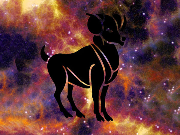 మకర రాశి
