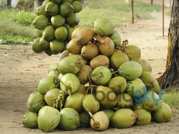 పోషకాలు