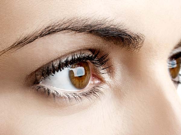 1. కంటిపాప(ఐరిస్/+Iris)