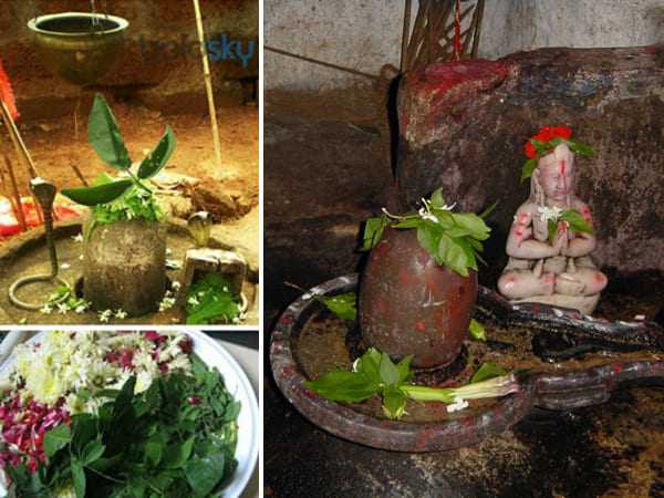 శివుని అనుగ్రహం..