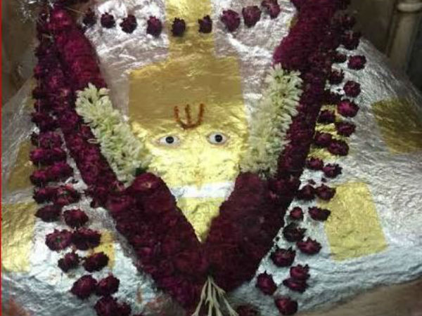 అరుపులు... కేకలు..