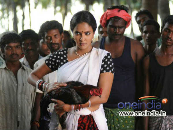 ఈ కోళ్లకు వ్యాయామం..