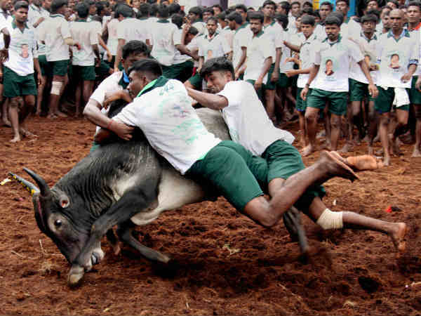 నిషేధం ఉన్నా..
