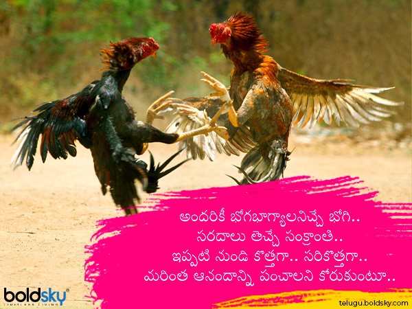 టాప్ -5