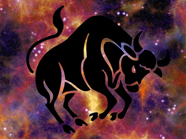 వృషభం