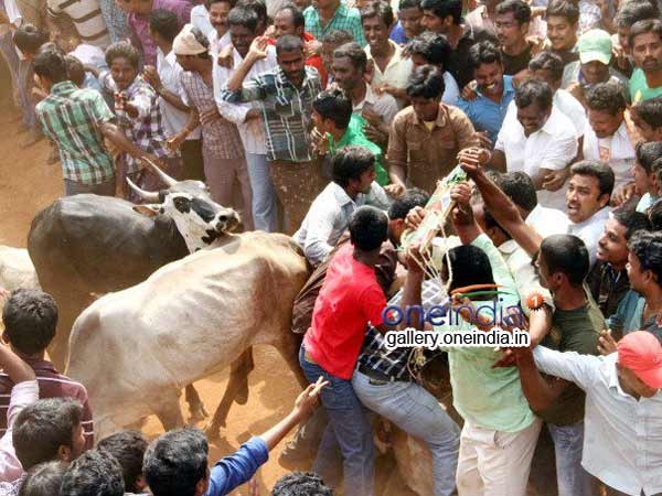 బెదిరించే ఆట..
