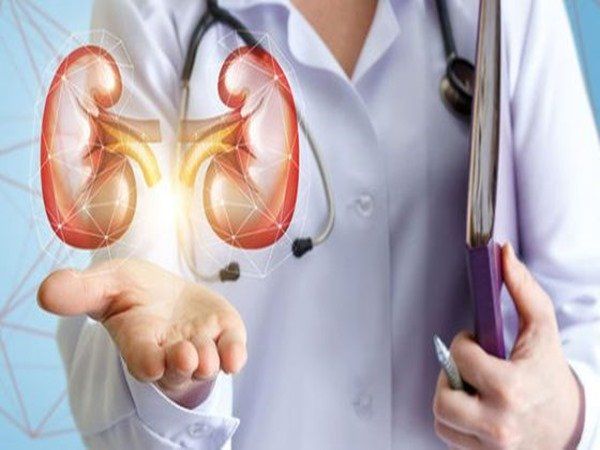 మూత్రపిండాల దెబ్బతినడానికి