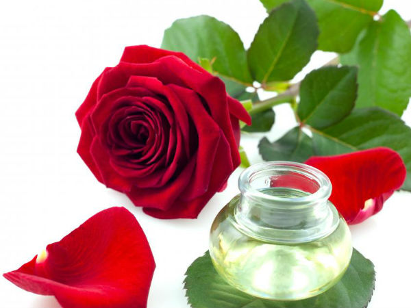 రోజ్ డేతో ప్రారంభం..