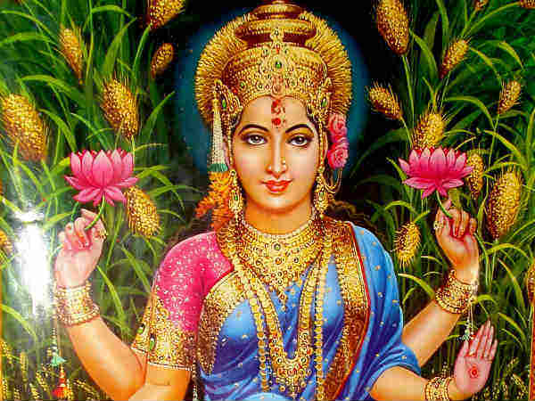 గుడ్లగూబను శుభసూచికగా..