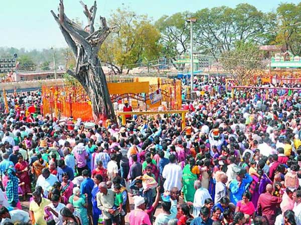 ఉప్పు, బెల్లం చాలా విలువైనవి..