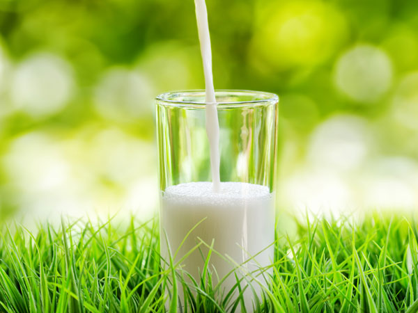Low fat milk 4. Low fat milk