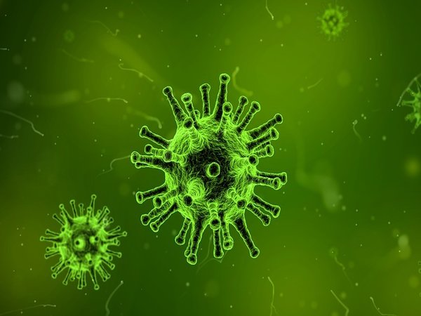 వృద్ధులు ఎందుకు చనిపోతారు?
