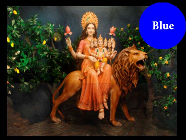 ఆరో రోజు