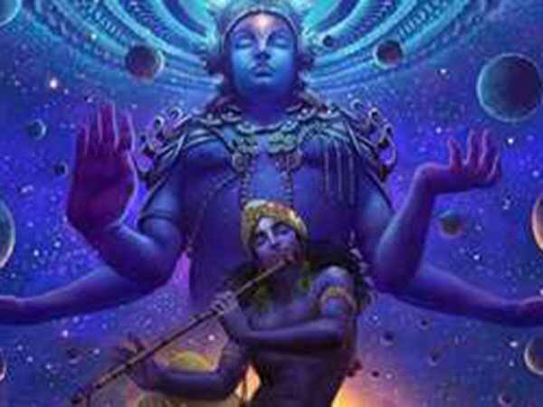 నిర్జల ఏకాదశి రోజున ఏమి చేయకూడదు