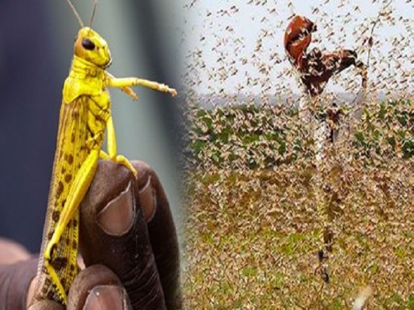 ఎలా ఎదుర్కోవాలంటే..