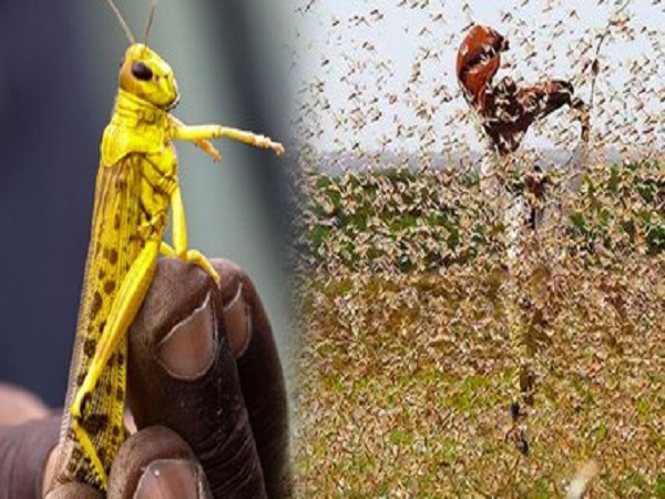 ఎప్పుడు ప్రయణిస్తాయి.