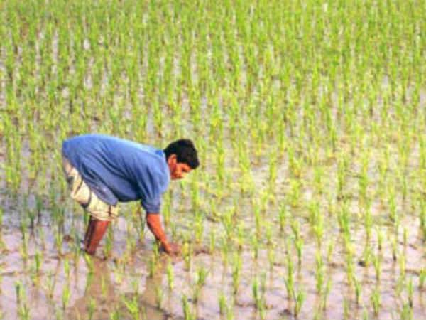అప్రమత్తం అయ్యేలోపు..