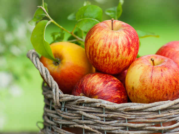 పుచ్చకాయ మరియు ఆపిల్