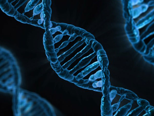2. పిండం DNA రక్త పరీక్షలు