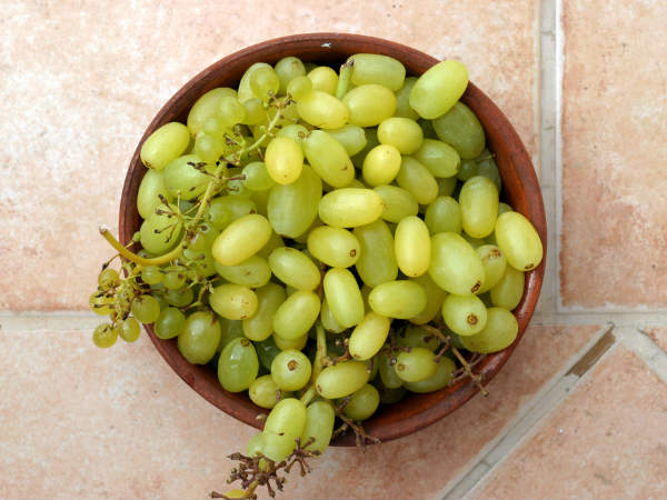 6. ద్రాక్ష