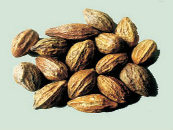 కరక్కాయ ఔషధ గుణాలు